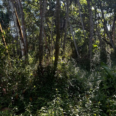 0 Oopu St unit 725856, Hawaiian Beaches, HI 96778 - photo 4