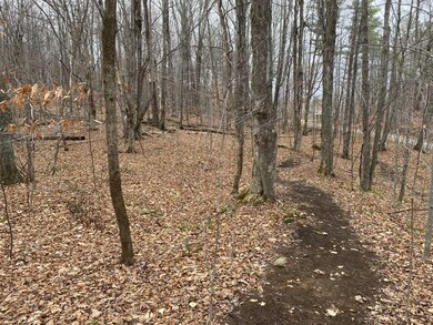 0 Read Farm Ln unit 4839074, Dorset, VT 05253 - photo 5