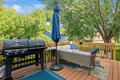 528 98th Ln NW, Coon Rapids, MN 55433 - photo 6