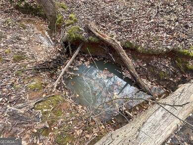 0 Ruckersville Rd unit 10490441, Elberton, GA 30635 - photo 2