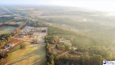 0 S Hill Rd unit 20254516, Timmonsville, SC 29161 - photo 4