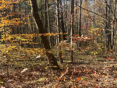 99999 Morgan Hill Rd unit 3, Fairview, NC 28730 - photo 2