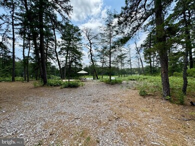 4320 Lake Nescochague Dr, Hammonton, NJ 08037 - photo 5