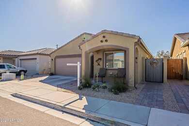 Mesquite-3