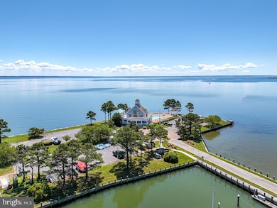 21477 Island Club Rd, Tilghman, MD 21671 - photo 5