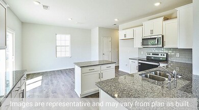 147 David Hill Dr, Buffalo Lake, NC 27330 - photo 5