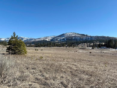 9.94 ac w/all utilities in Kettle Falls