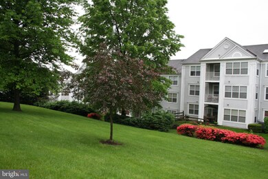 2802 Clear Shot Dr unit 10, Silver Spring, MD 20906 - photo 5