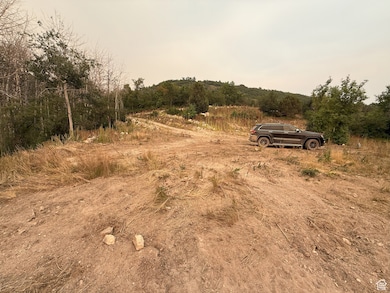 1 Archies Hideaway, Fairview, UT 84629 - photo 6