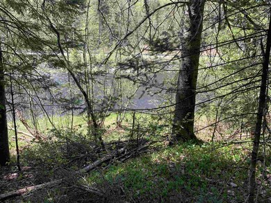 Lot 19 Route 3, Columbia, NH 03576 - photo 4