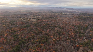 TBD Hallelujah Ln, Mena, AR 71953 - photo 3