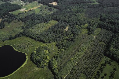 Mason 79 Acres-2 copy