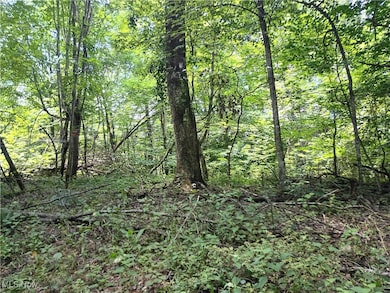 0 R 9 unit 5139092, Arnoldsburg, WV 25234 - photo 2