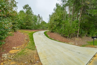 443 Back Valley Rd, Chickamauga, GA 30707 - photo 2