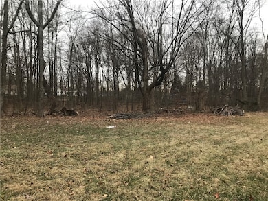 Back yard.