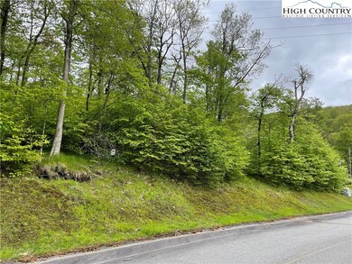 Gentle slope on this lot allows for easy building.