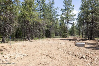 33314 N Arden Ln, Athol, ID 83801 - photo 6