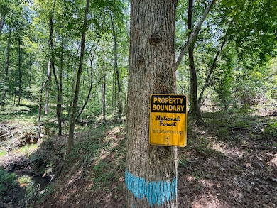 0 Buckhead Rd, Blair, SC 29015 - photo 3