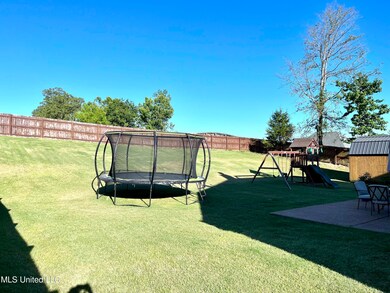 2 Backyard