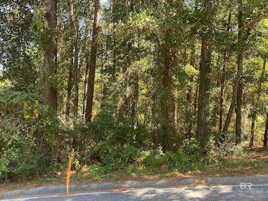 View of local wilderness