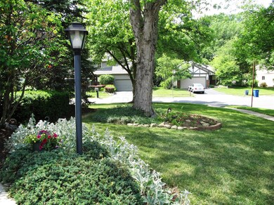 3- Entrance Walkway Greenery