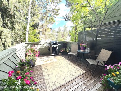 125 E Hyman Ave unit 1, Aspen, CO 81611 - photo 3