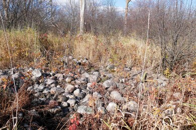 +/-23 Acres Tower Ave, Medford, WI 54451 - photo 4