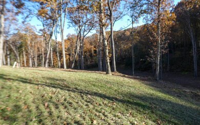 LT 7 Mystic Dr, Ellijay, GA 30540 - photo 4