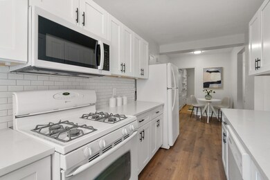 38 Dean Rd unit T1, Brookline, MA 02445 - photo 4