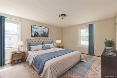 Bedroom with a baseboard radiator and carpet flooring