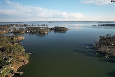 1533 Saugus Ct, Chapin, SC 29036 - photo 2