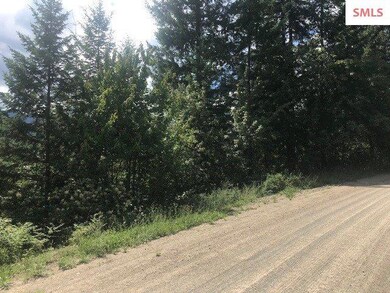 Lot 13 Block 2 Bear Claw Rd, Clark Fork, ID 83811 - photo 3