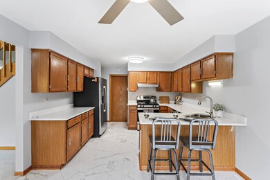 1146 Baythorne Dr unit 103, Flossmoor, IL 60422 - photo 5