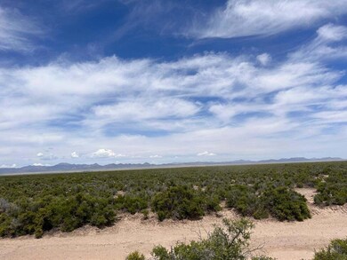 20230612173135322715000000-o-2