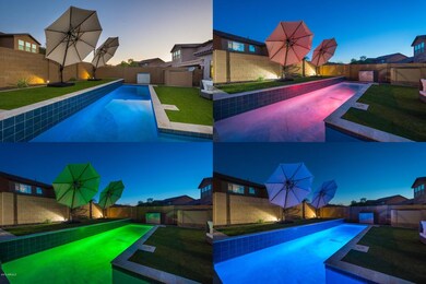 Multi-color Lap Pool