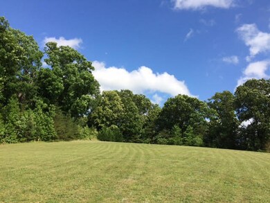 Lot 20, looking at lot 20 from lot 21