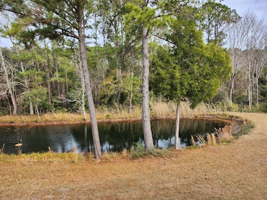 7997 Doar Rd unit C-2, Awendaw, SC 29429 - photo 3