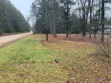 8387 E 7 Mile Rd, Luther, MI 49656 - photo 5