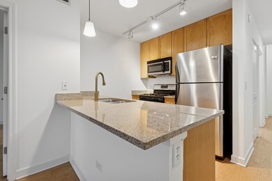 Michigan 1400 unit 1708, Chicago, IL 60605 - photo 4