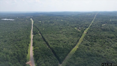 TBD Cactus Rd, Pittsburg, TX 75686 - photo 6