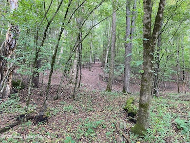 2340 Sands Creek Rd, Hancock, NY 13783 - photo 4