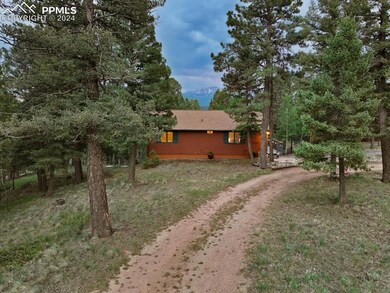 313 Blue Mesa Dr, Divide, CO 80814 - photo 3