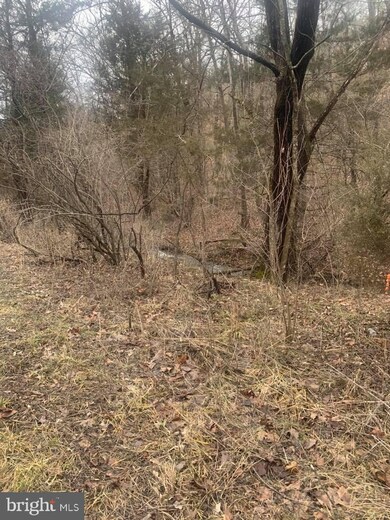 TBD Supinlick Ridge, Edinburg, VA 22824 - photo 4