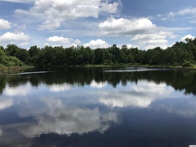 Lot 1 Chow Ln, Conway, SC 29526 - photo 4