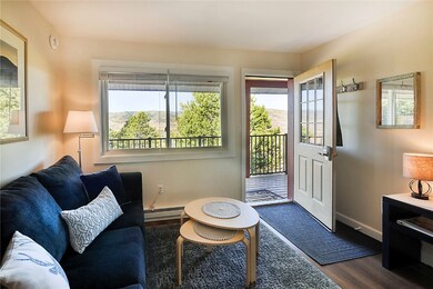 3295 Apres Ski Way unit B10, Steamboat Springs, CO 80487 - photo 3