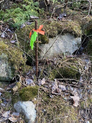 11-4 Wells Rd unit 11-4, Franconia, NH 03580 - photo 6