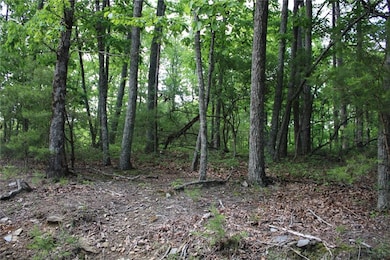 View of landscape with a wooded view