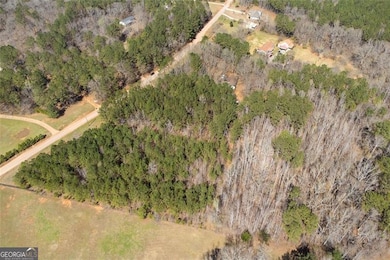 1496 Trestle Rd, Locust Grove, GA 30248 - photo 6