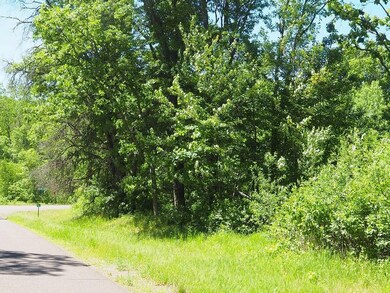 XXX Minerva Dam Rd, Danbury, WI 54830 - photo 4