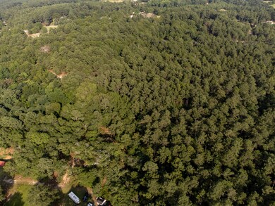 DJI_0391